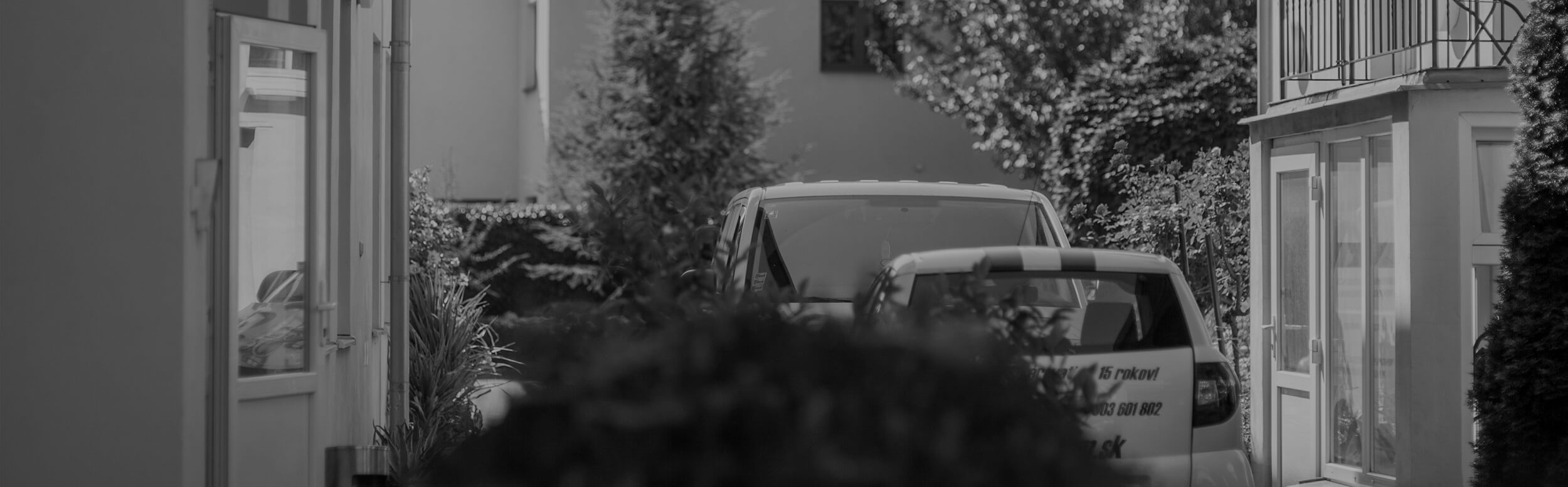 Backyard, trees, car